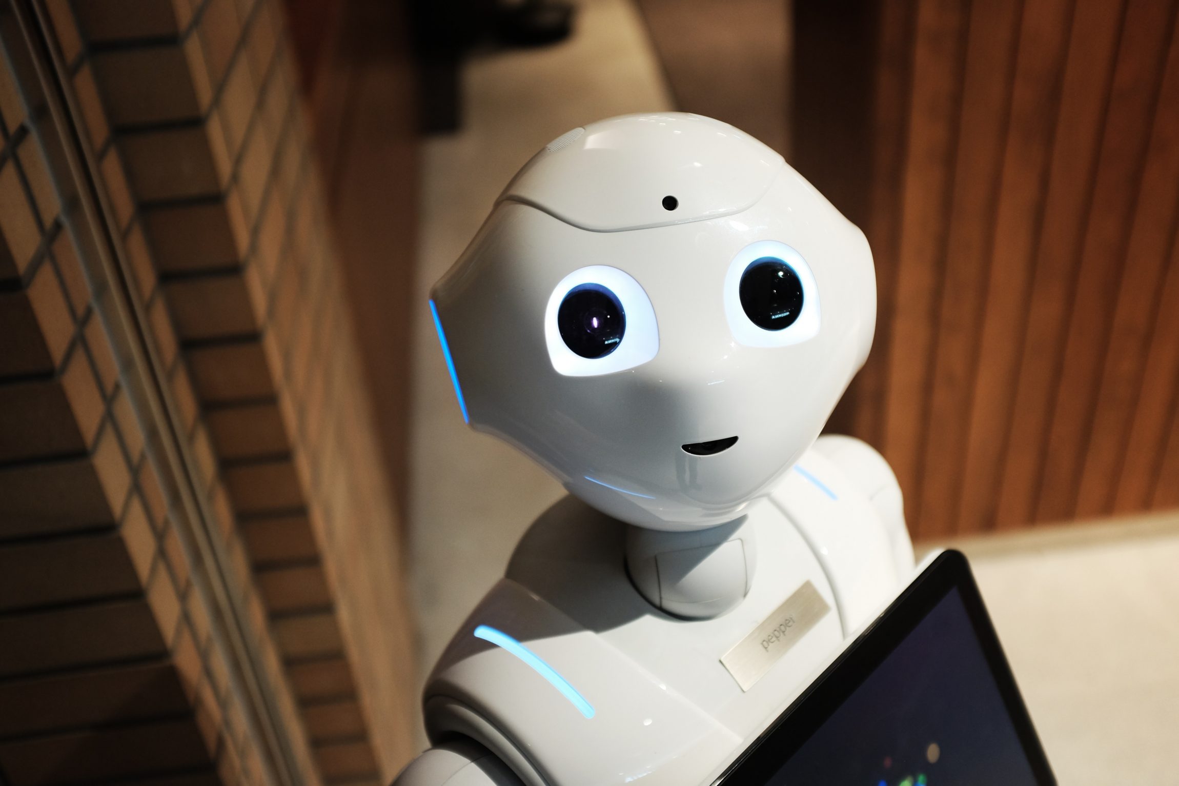 Digital Teammates, the new company in mAccelerator’s portfolio, invests in robots
