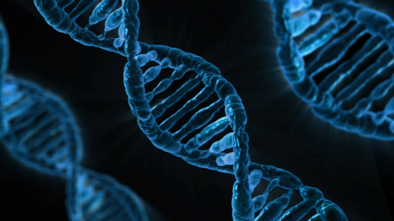Nebula Genomics Will Help You Monetise Your DNA